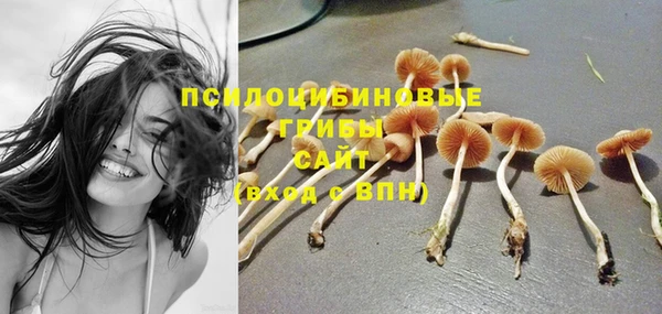 тгк Алексеевка