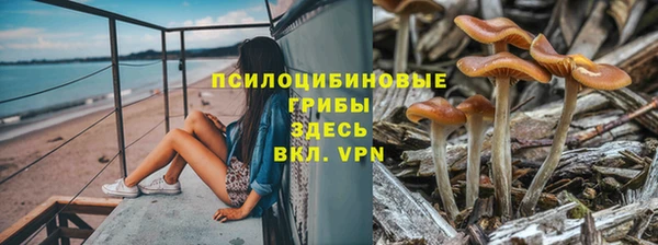 не бодяженный Алзамай
