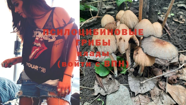 не бодяженный Алзамай