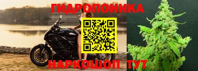 мяу мяу кристалл Гатчина