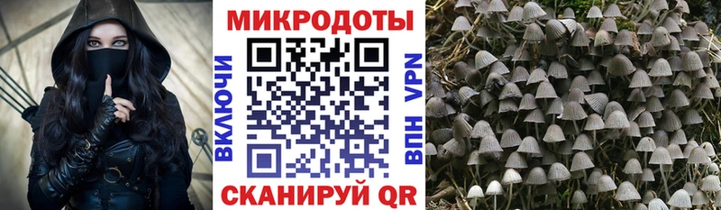 наркота  Конаково  Галлюциногенные грибы GOLDEN TEACHER 